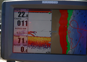 Crappies On Humminbird Screen